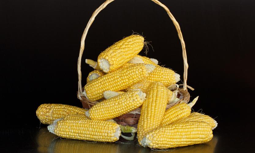 我们公司从农贸市场进一批玉米进行加工,可不可以自行开具农产品收购