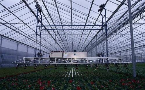 现代智慧温室大棚,对于种植者有哪些好处